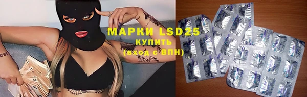 спиды Аркадак