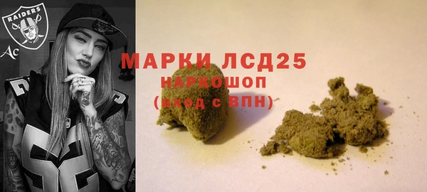 спиды Аркадак