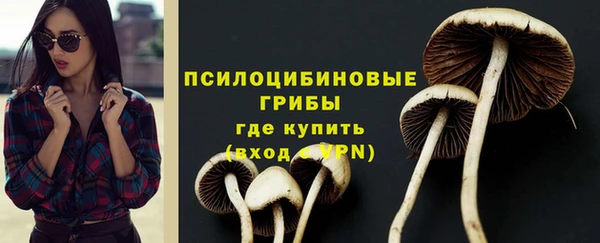 винт Балахна