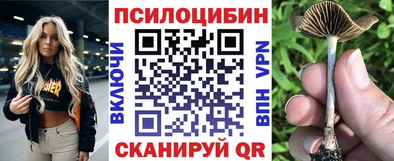Галлюциногенные грибы ЛСД даркнет сайт Заполярный