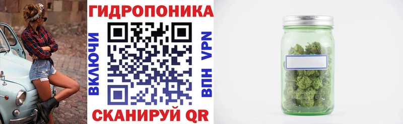 Каннабис AK-47  Заполярный 